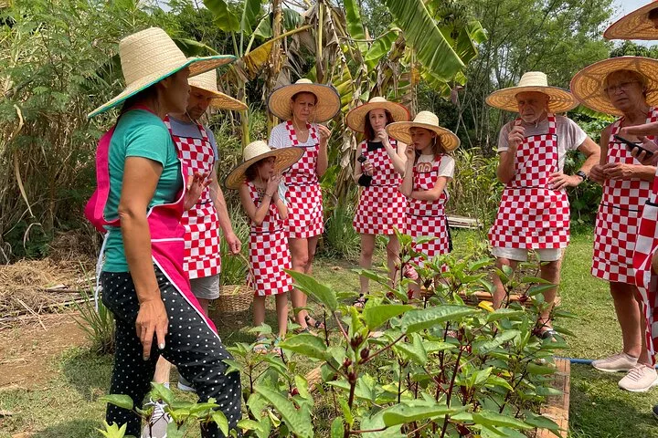 Organic farm class, Own station from age 9